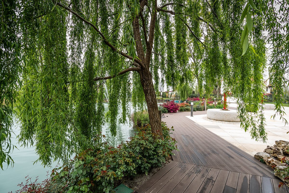 Percorso pedonale in legno accanto a salice piangente e laghetto, con zona pavimentata e piante ornamentali. Giardino progettato da Berta Srls.